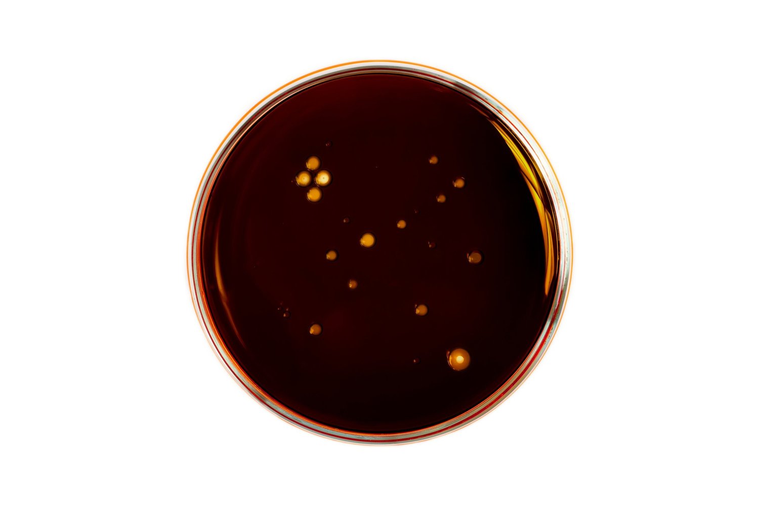 Full Spectrum CBD Tincture